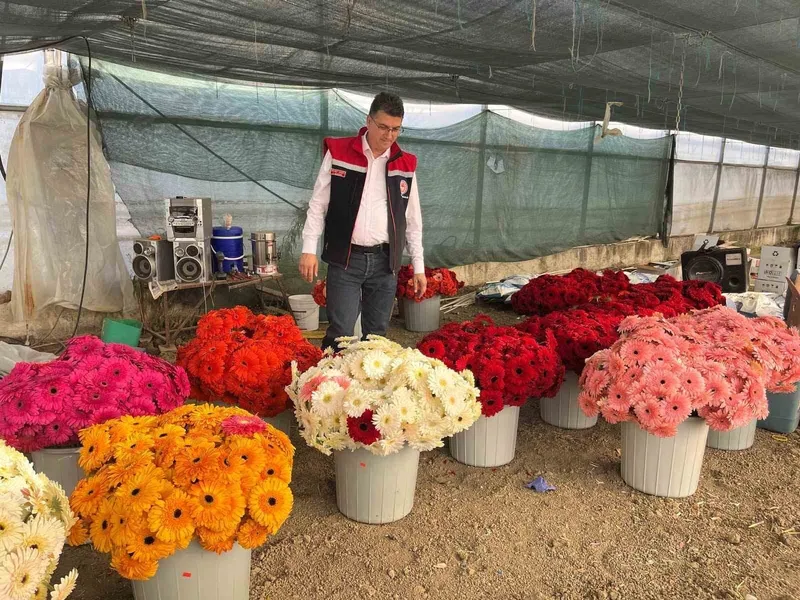 SERADA SEBZEDEN GERBERAYA: ÜRETİM ÇEŞİTLİLİĞİ DİKKAT ÇEKİYOR