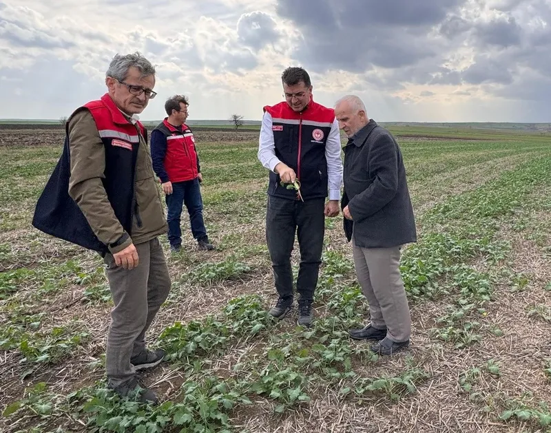 AKSOY: ANIZA EKİM, YAĞMURUN EMİLİMİNİ ARTIRIR VE BUHARLAŞMAYI AZALTARAK RUTUBETİ TOPRAKTA TUTAR