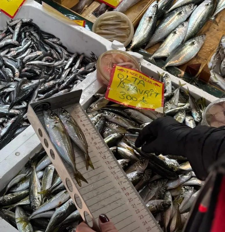 TEKİRDAĞ’DA BALIK TEZGAHLARINA SIKI DENETİM: BOY ÖLÇÜMLERİYLE SÜRDÜRÜLEBİLİR AVCILIĞA DESTEK