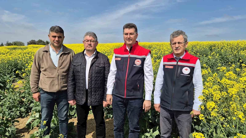 TEKİRDAĞ İL TARIM MÜDÜRÜ: ARILAR ÖLÜRSE, HAYAT DA DURUR