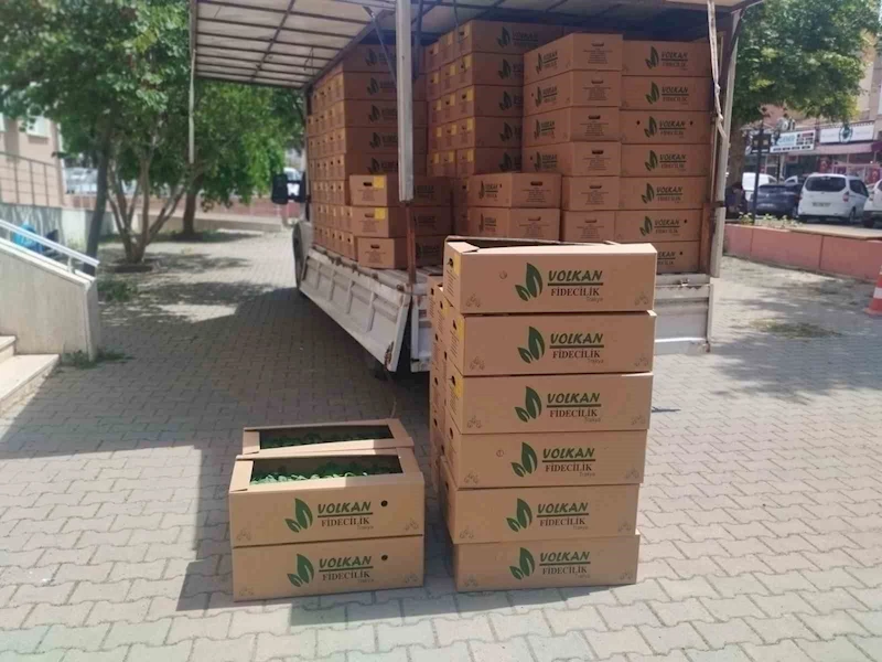 MURATLI’DA ÇİFTÇİYE FİDE DESTEĞİ