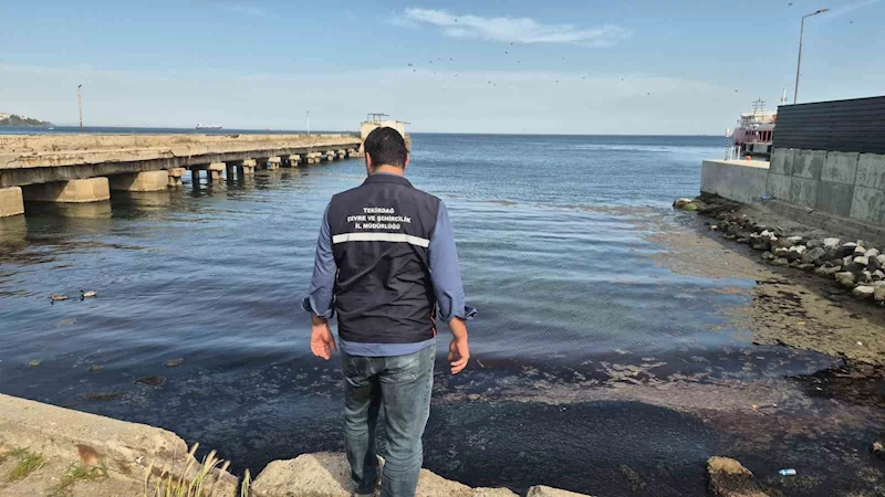 TEKİRDAĞ’DA DENİZİN RENGİ DEĞİŞTİ, AĞIR KOKU YAYILDI