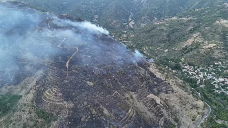 TEKİRDAĞ VALİLİĞİ: UÇMAKDERE’DEKİ ORMAN YANGINI KONTROL ALTINA ALINDI