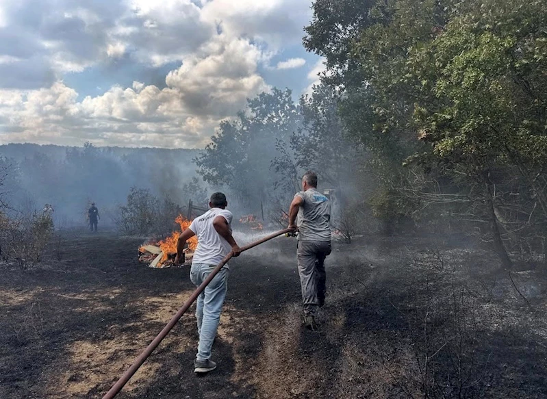 İĞNEADA’DA ÇIKAN ORMAN YANGINI SÖNDÜRÜLDÜ
