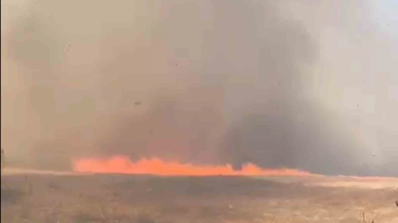 TEKİRDAĞ’DA ALEVLER TARLA VE ORMANI SARDI: 10 EV BOŞALTILDI