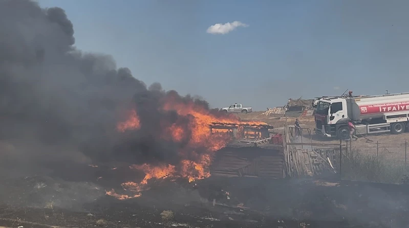 TEKİRDAĞ’DA BESİ ÇİFTLİĞİNDE YANGIN