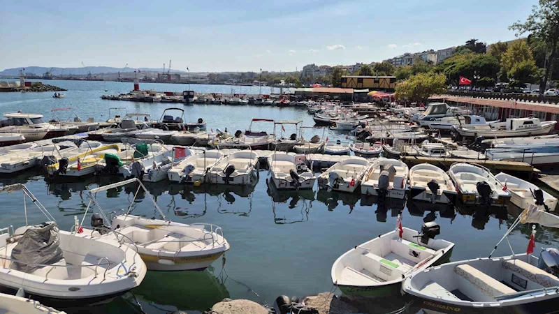 LİMANDA TATLI TELAŞE: BALIKÇILAR LÜFER VE PALAMUTTAN UMUTLU