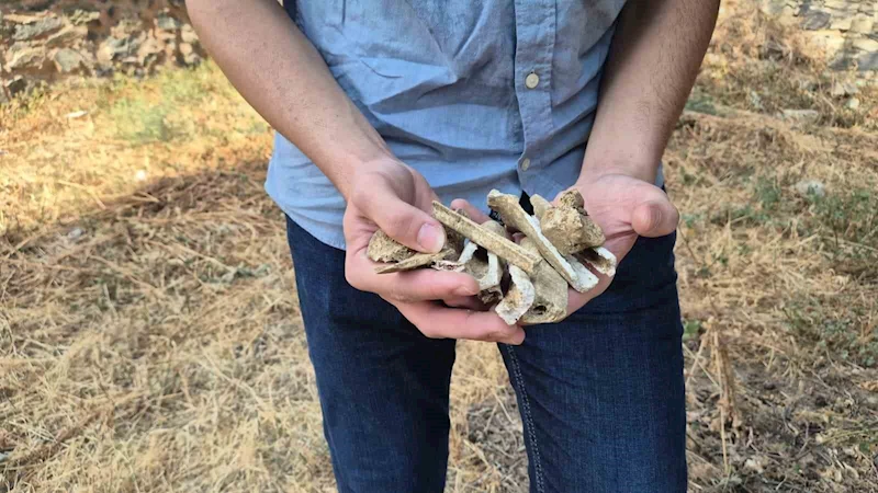 ECDADA SAYGISIZLIK: KIRIMİZADE ŞEYHİNİN MEZARI TALAN EDİLDİ