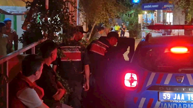 TEKİRDAĞ’DA ORMAN YANGININA NEDEN OLDUĞU İDDİA EDİLEN 1 ŞÜPHELİ GÖZALTINA ALINDI