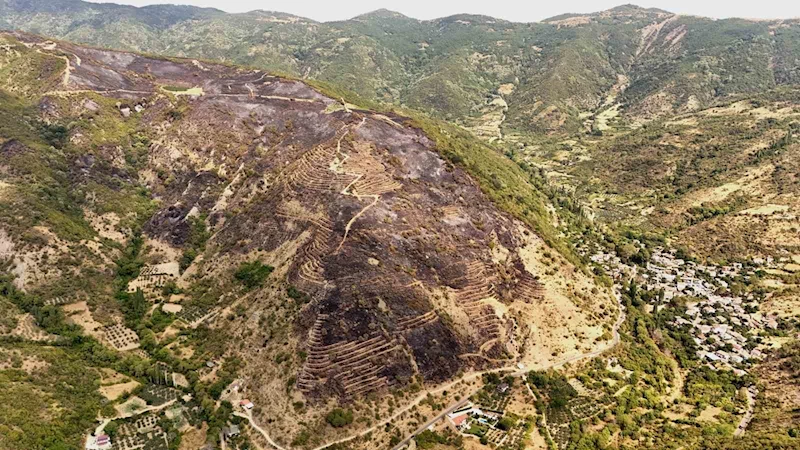 UÇMAKDERE’DE YANAN ALANLAR HAVADAN GÖRÜNTÜLENDİ