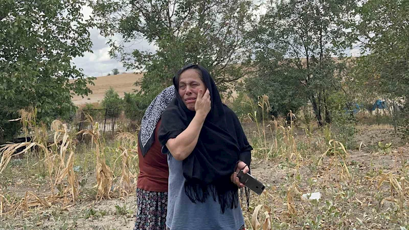 TEKİRDAĞ’DA KORKUTAN YANGIN: MAHSUR KALAN KEDİLER İÇİN AĞLADILAR