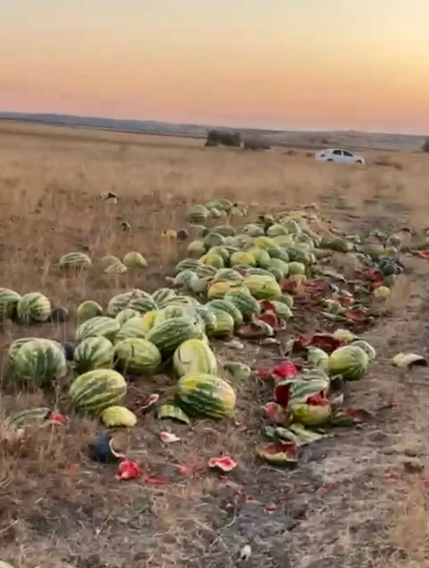 TEKİRDAĞ’DA İSRAF TEPKİSİ: KARPUZLAR YOLA SAÇILDI