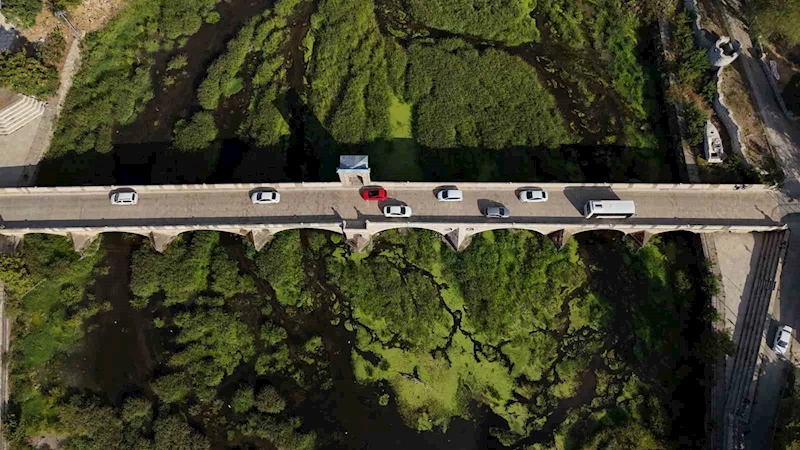 TUNCA NEHRİ’NDE KURAKLIK: OTLAR YAYILDI, SU YÜZEYİ YEŞİLE DÖNDÜ