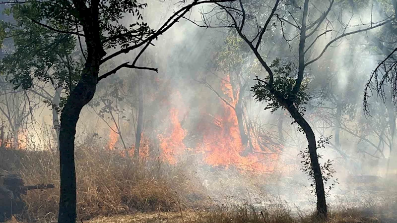 ÇORLU’DA ORMANLIK ALANDA KORKUTAN YANGIN