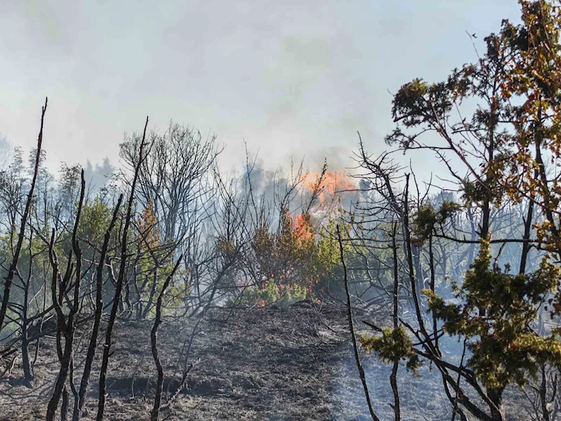 MALKARA’DA MAKİLİK ALANDA YANGIN