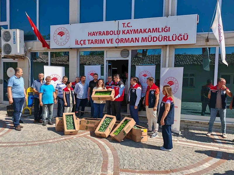 HAYRABOLU’DA ÜRETİCİLERE KIŞLIK FİDE DESTEĞİ