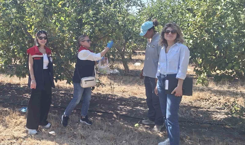 TEKİRDAĞ’DA HASAT ÖNCESİ PESTİSİT DENETİMLERİ YAPILIYOR