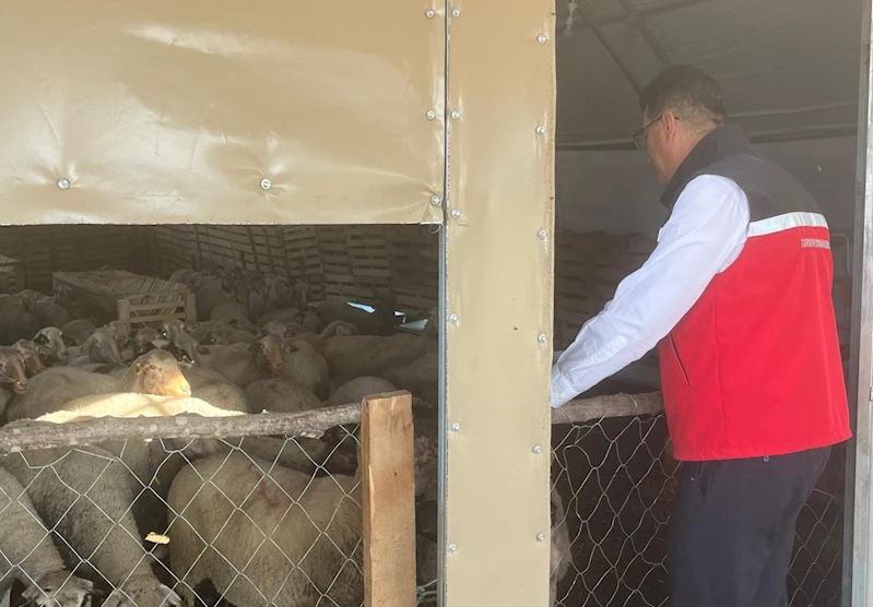 TEKİRDAĞ’DA HAYVANCILIĞA YAKIN TAKİP