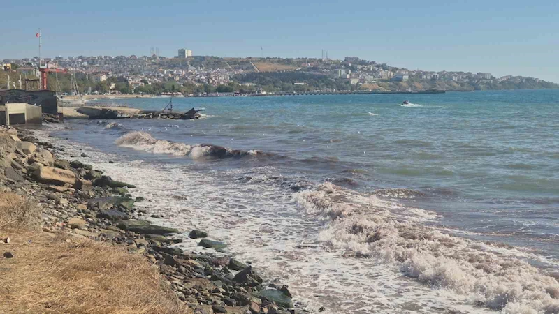 TEKİRDAĞ’DA POYRAZ FIRTINASI KIYILARDA KIZIL YOSUNLARA NEDEN OLDU