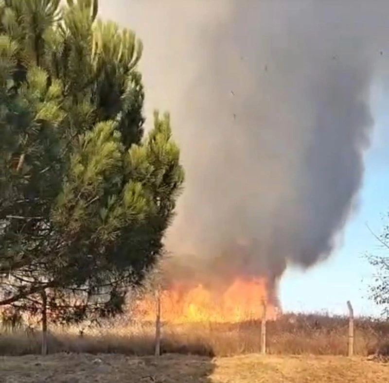 TEKİRDAĞ’DA KORKUTAN YANGIN