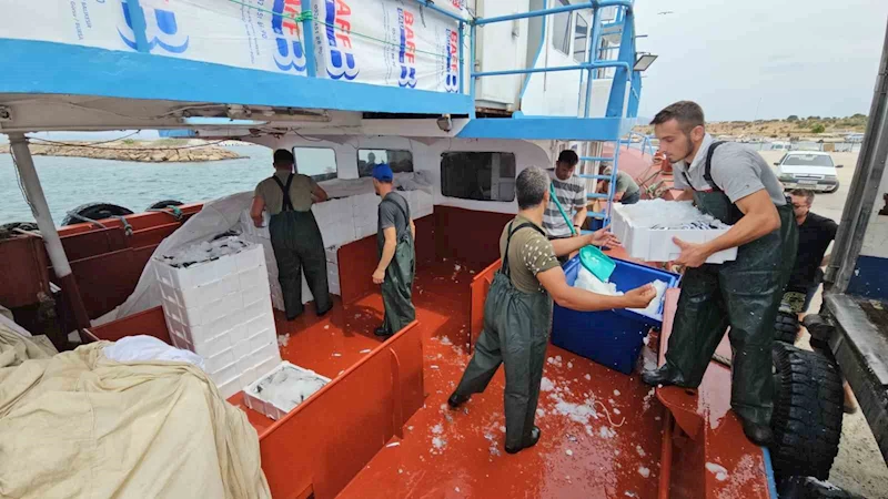 BALIK FİYATLARI 1 AY SONRA UCUZLAYACAK