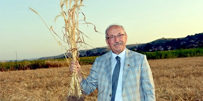 BÜYÜKŞEHİRDEN 4. HASAT BAYRAMI