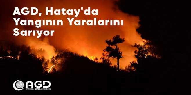 YANAN ORMANLIK ALANDA AĞAÇLANDIRMA YAPILACAK