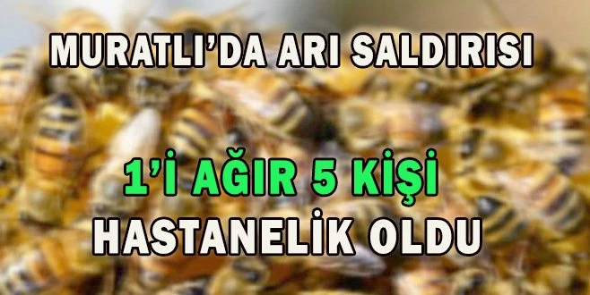 ARI SALDIRISINDAN KORUNMAK İÇİN ATEŞ YAKTILAR