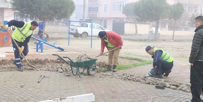 MARMARAEREĞLİSİ BAHARA HAZIRLANIYOR
