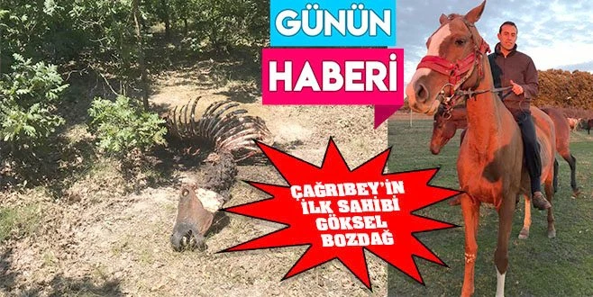 ÇAĞRIBEY`İ KESENLER CEZALANDIRILSIN!