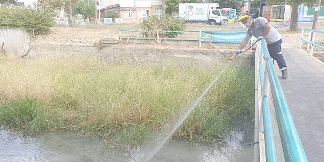 11 İLÇEDE LARVA MÜCADELESİ ÇALIŞMALARINI SÜRDÜRÜYOR