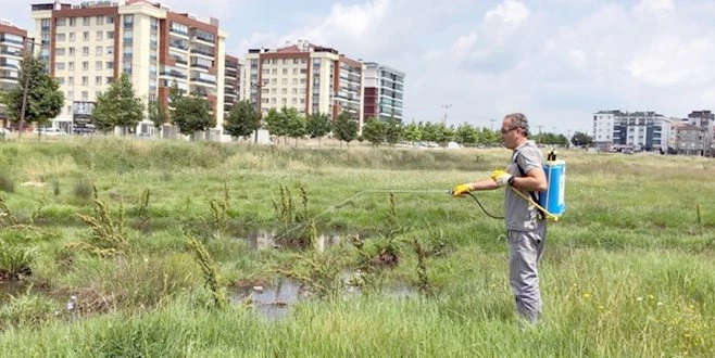 BÜYÜKŞEHİR`DEN ÇERKEZKÖY`DE LARVA İLAÇLAMASI