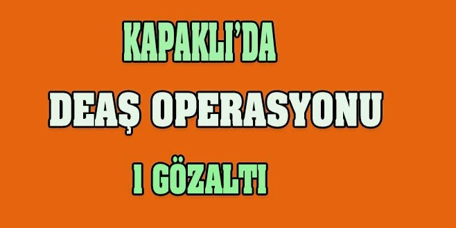 KAPAKLI?DA DEAŞ OPERASYONU: 1 GÖZALTI