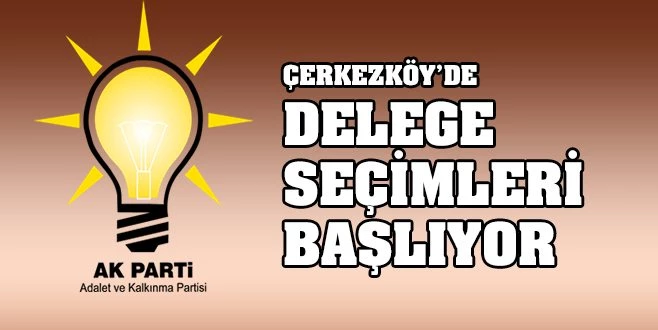 DELEGE SEÇİMİ 5 OCAK`TA