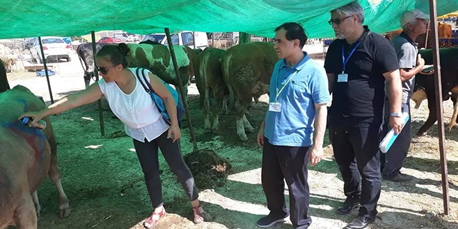 KURBAN PAZARINDA DENETİMLER DEVAM EDİYOR