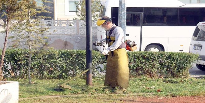 PARK VE BAHÇELERDE SONBAHAR BAKIMI