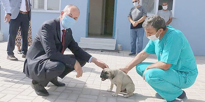 HAYVANLARI KORUMA GÜNÜ?NE ÖZEL AÇILIŞ