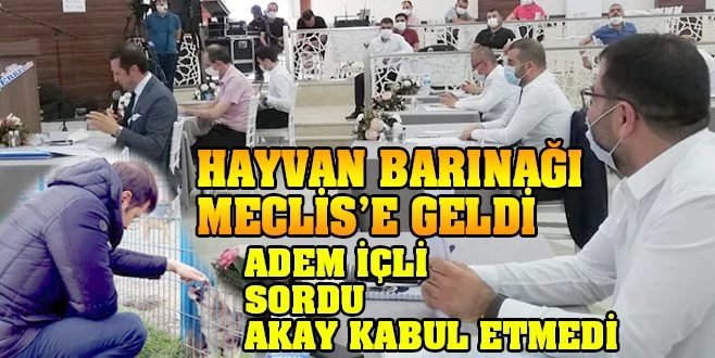 BU KONUYLA İLGİLİ İŞLEM YOK!