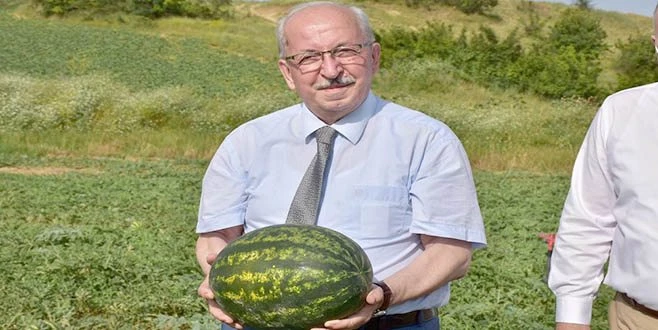 BAŞKAN ALBAYRAK KARPUZ ÜRETİCİLERİNİN HASAT HEYECANINA ORTAK OLDU