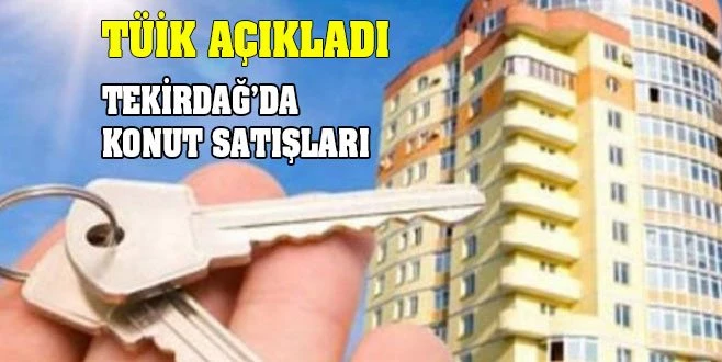 1 AYDA BİN 942 KONUT SATILDI