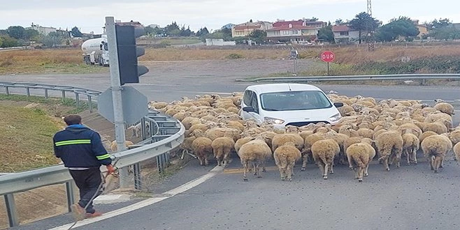 İSTANBUL-TEKİRDAĞ YOLUNDA TEBESSÜM ETTİREN GÖRÜNTÜLER