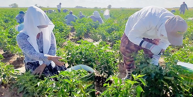 MASKE TAKMAYANLARA ADETA DERS VERİYORLAR