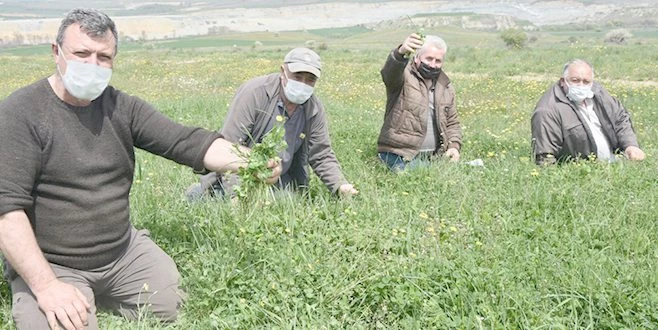 MERA İYİLEŞTİRME PROJESİ KAPSAMINDA MERA KONTROLLERİ BAŞLADI