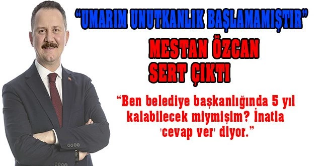 MANİFESTO GİBİ CEVAP!