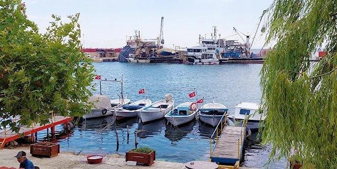 SALYANIN İLK ORTAYA ÇIKTIĞI ŞEHRE BİR HAFTADIR MÜSİLAJ UĞRAMIYOR