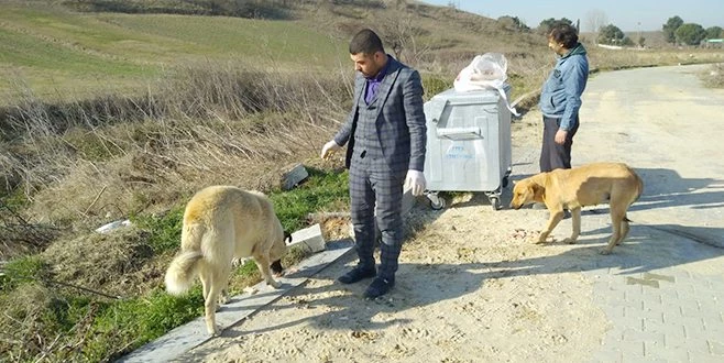 ŞU KIŞ GÜNÜNDE HAYVANLARI BESLEDİ