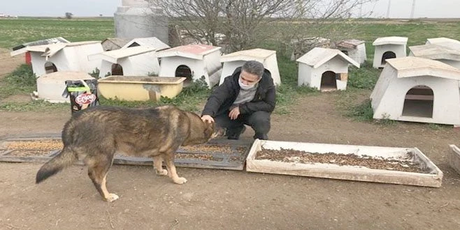 KAYMAKAM VE BAŞSAVCI SOKAK HAYVANLARINI BESLEDİ