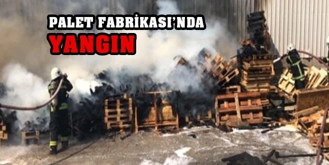 PALET FABRİKASINDA YANGIN ÇIKTI