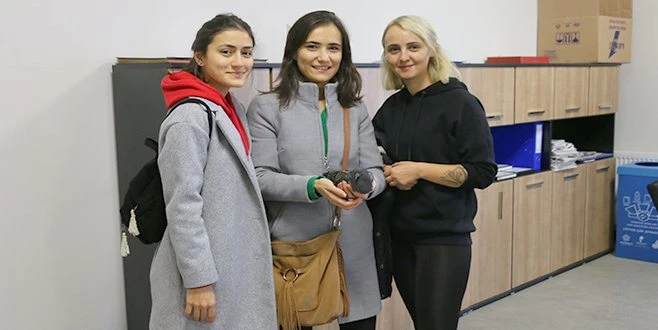 YARALI KUŞA ANINDA MÜDAHALE EDİLDİ