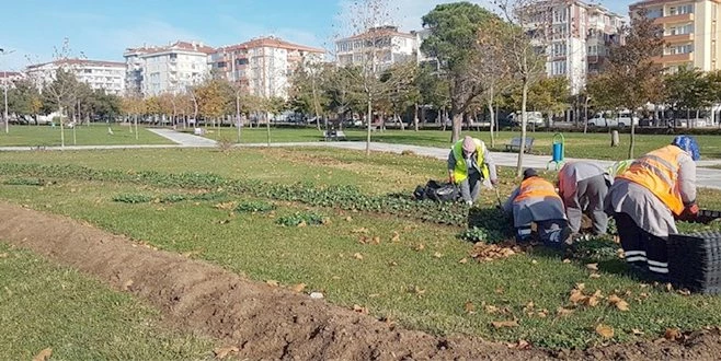 PARK VE BAHÇELER EKİPLERİ 11 İLÇEDE ARALIKSIZ ÇALIŞIYOR